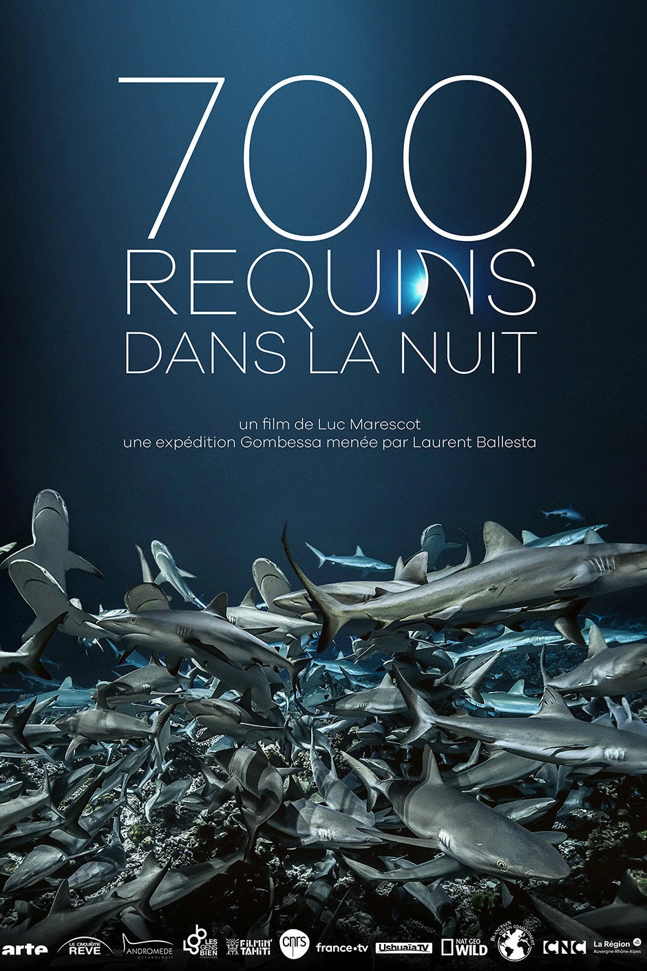 700 Sharks