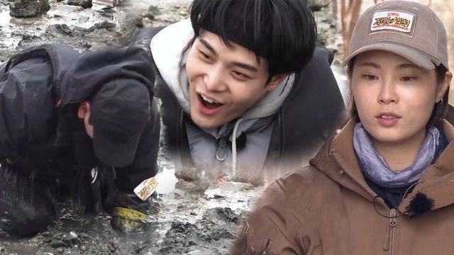 Law of the Jungle