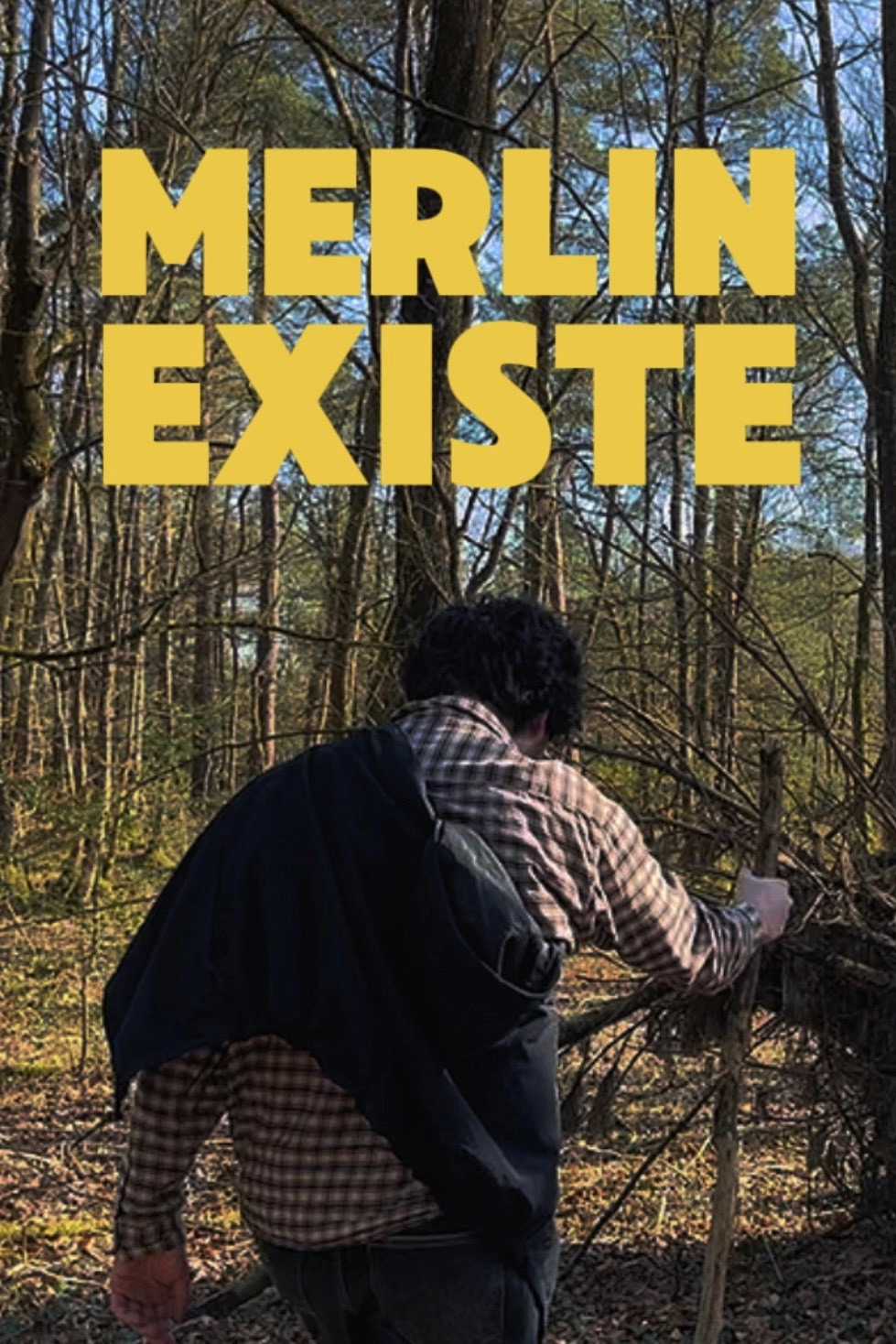 Merlin Existe