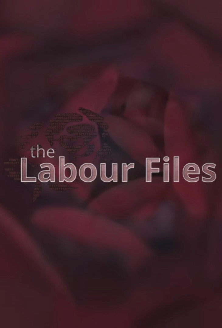 The Labour Files