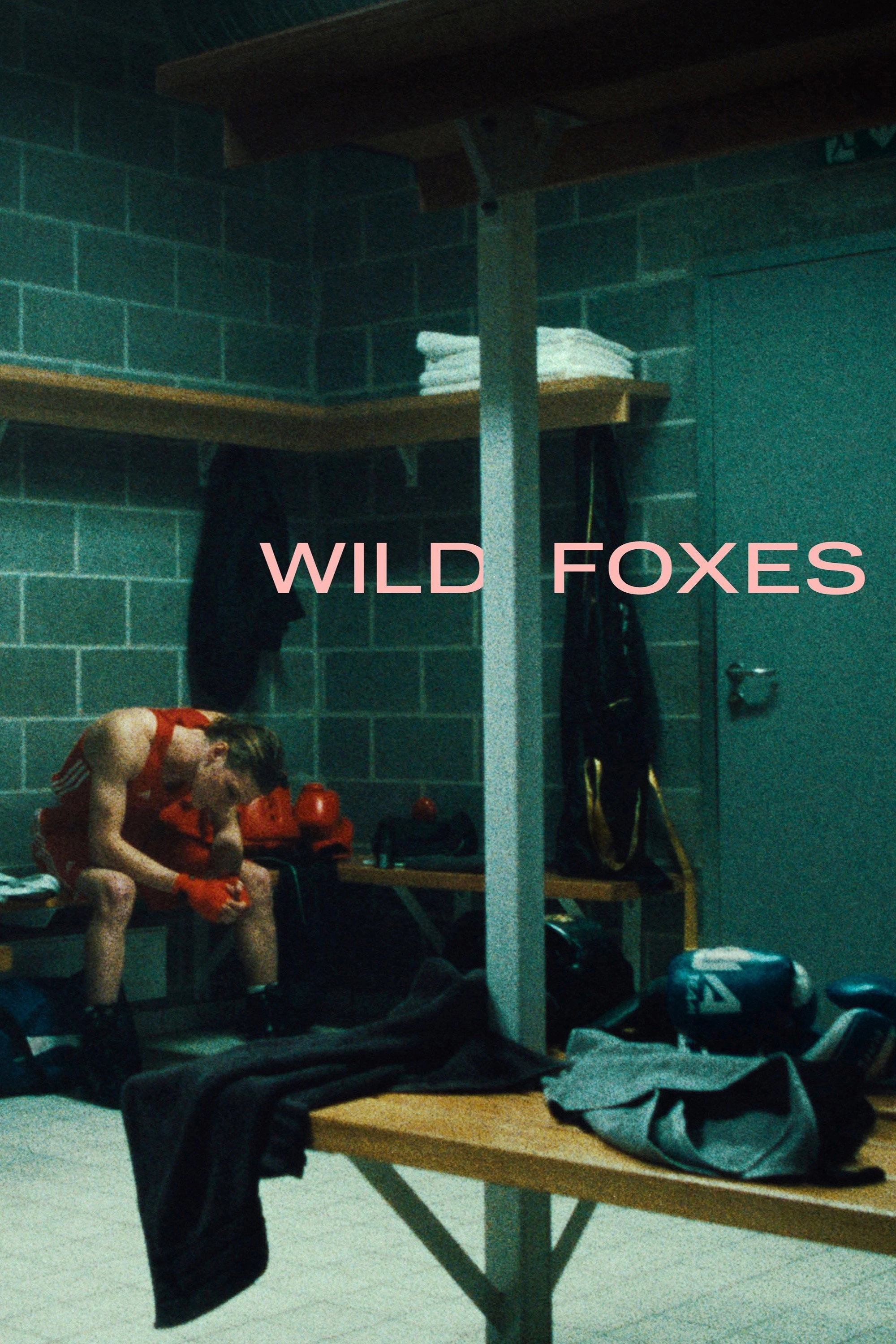 Wild Foxes