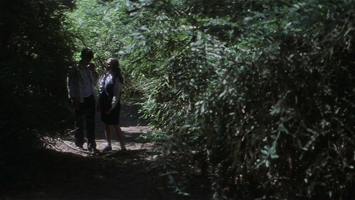 Donnie Darko