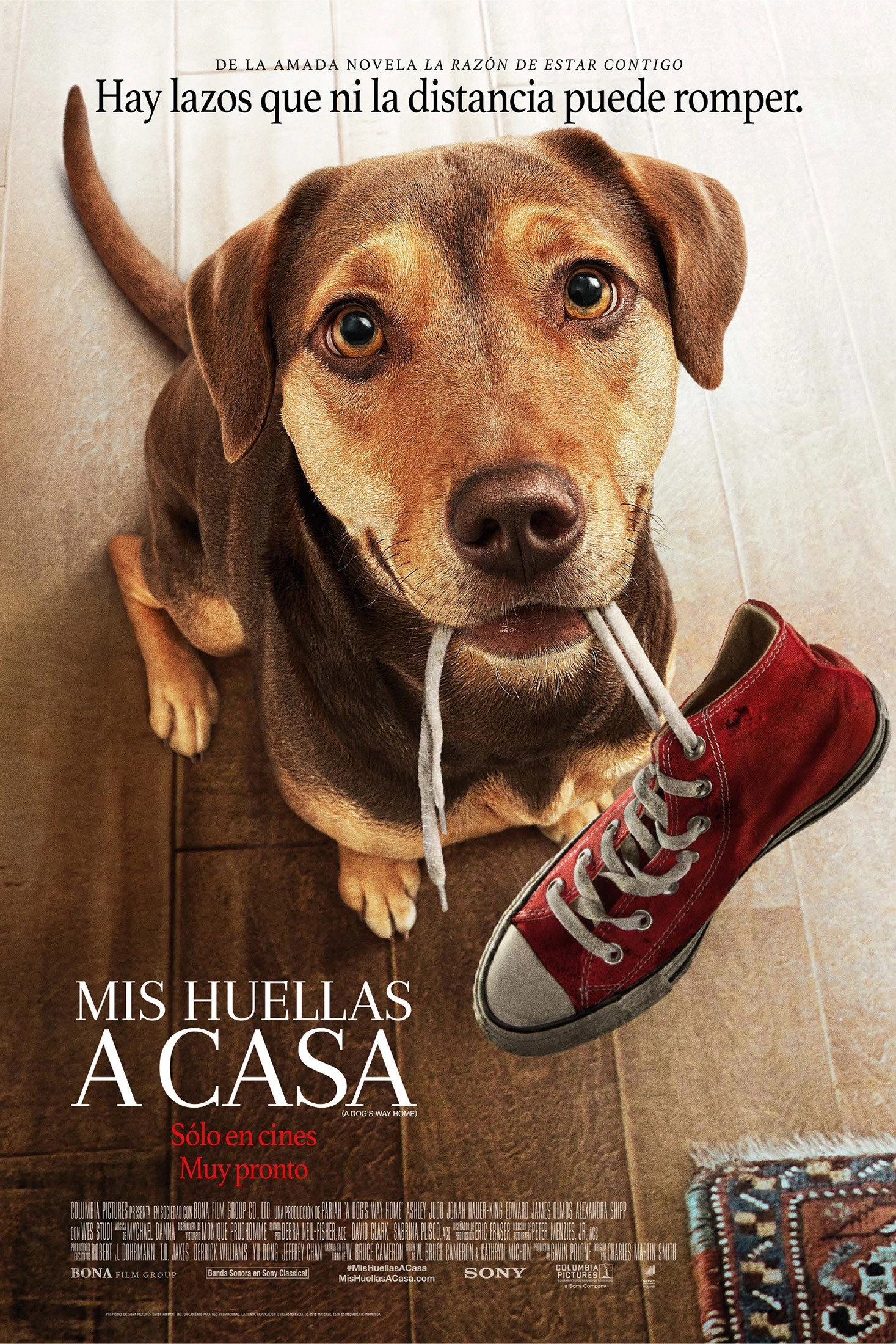 A Dog's Way Home