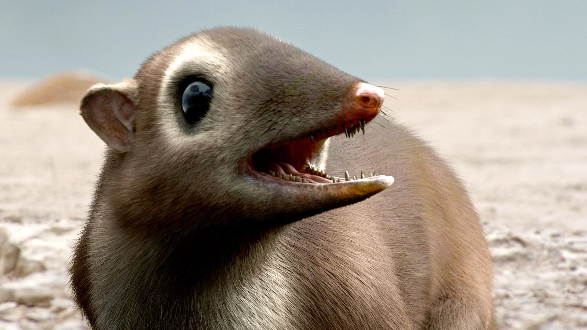 A New Prehistory
