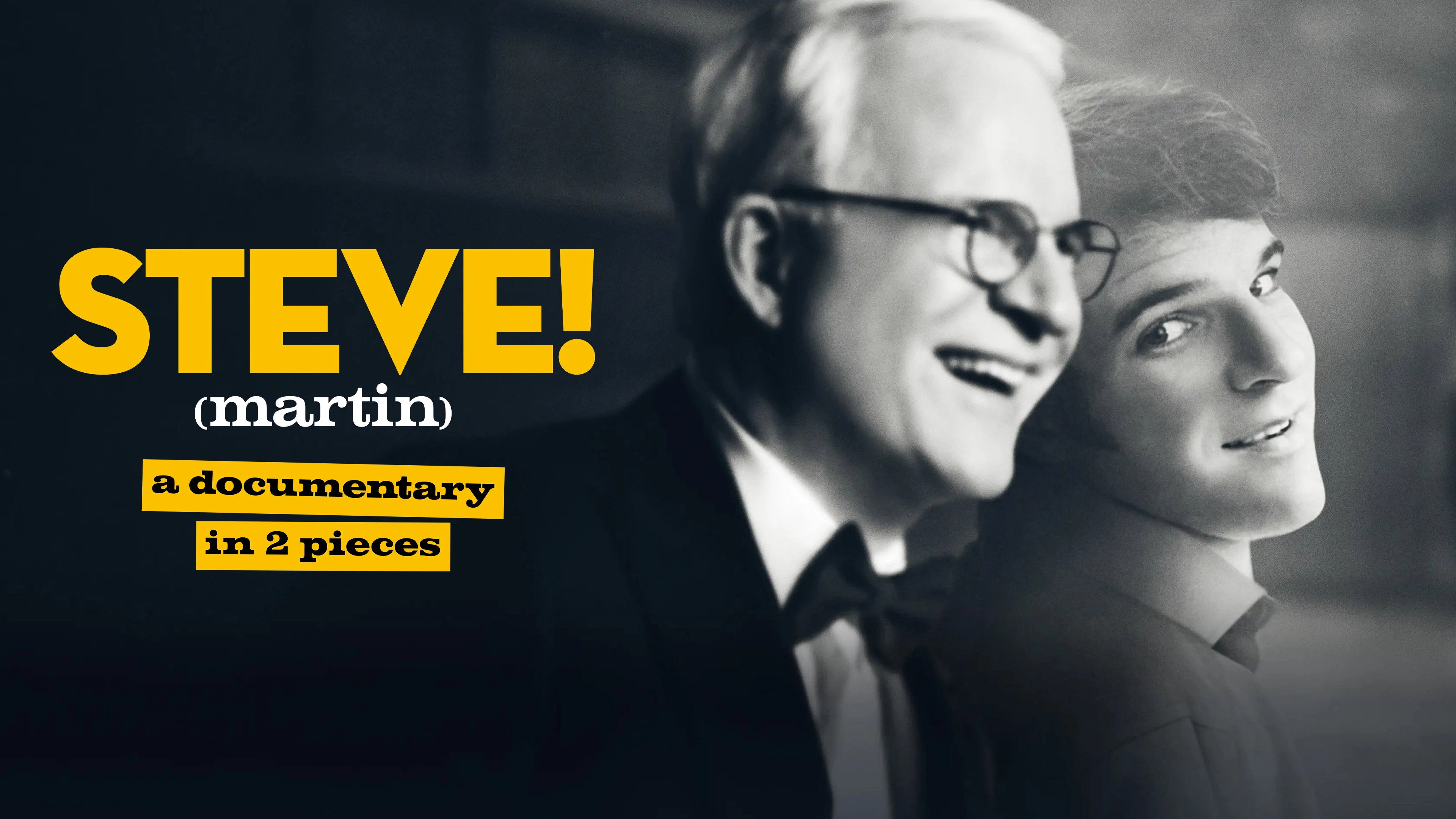 STEVE! (martin) a documentary in 2 pieces