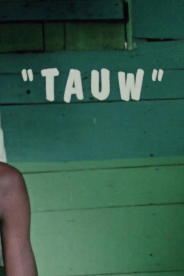 Tauw