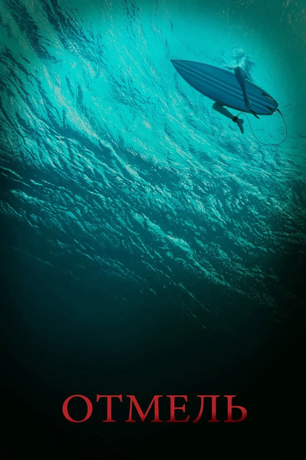 The Shallows