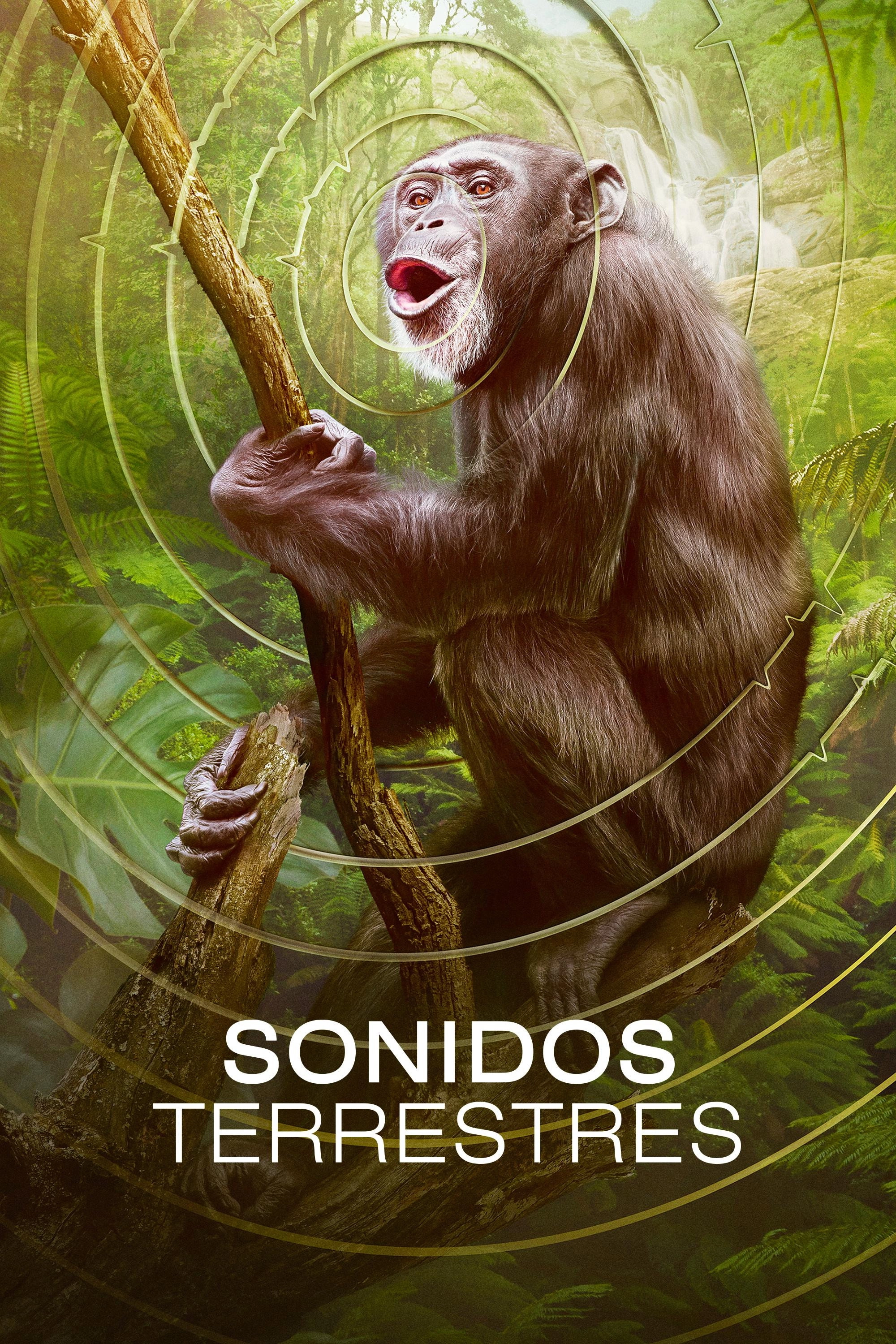 Earthsounds