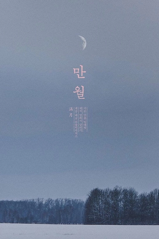 Moonlit Winter