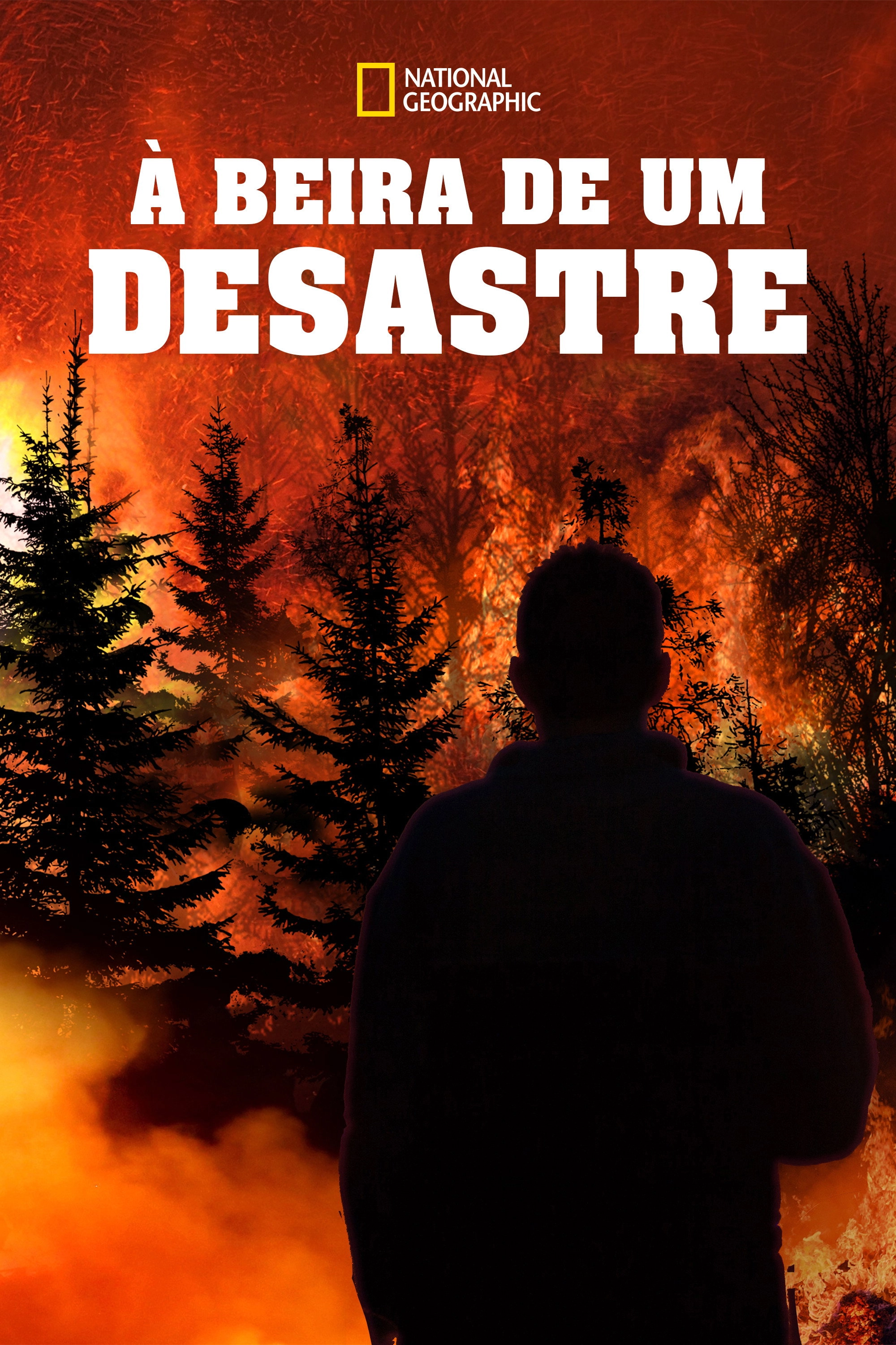 Witness to Disaster