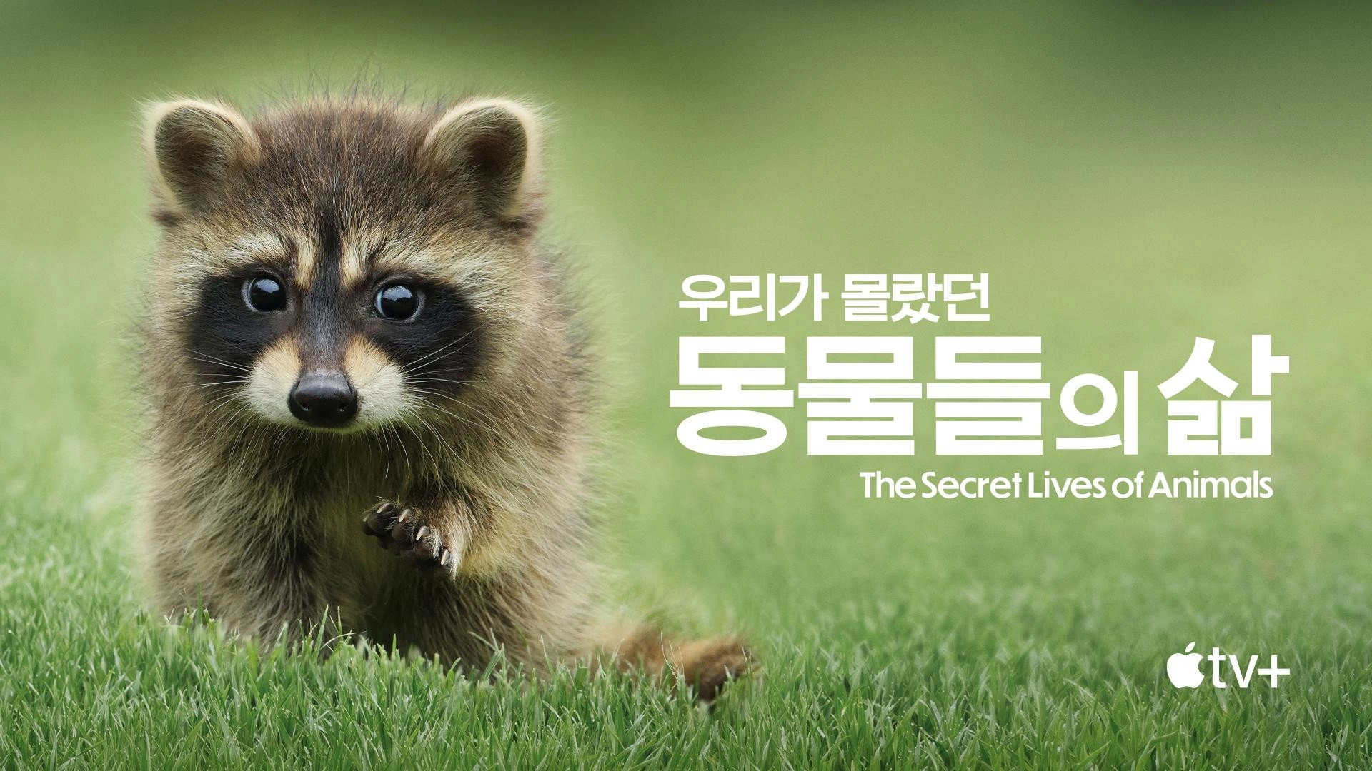 The Secret Lives of Animals