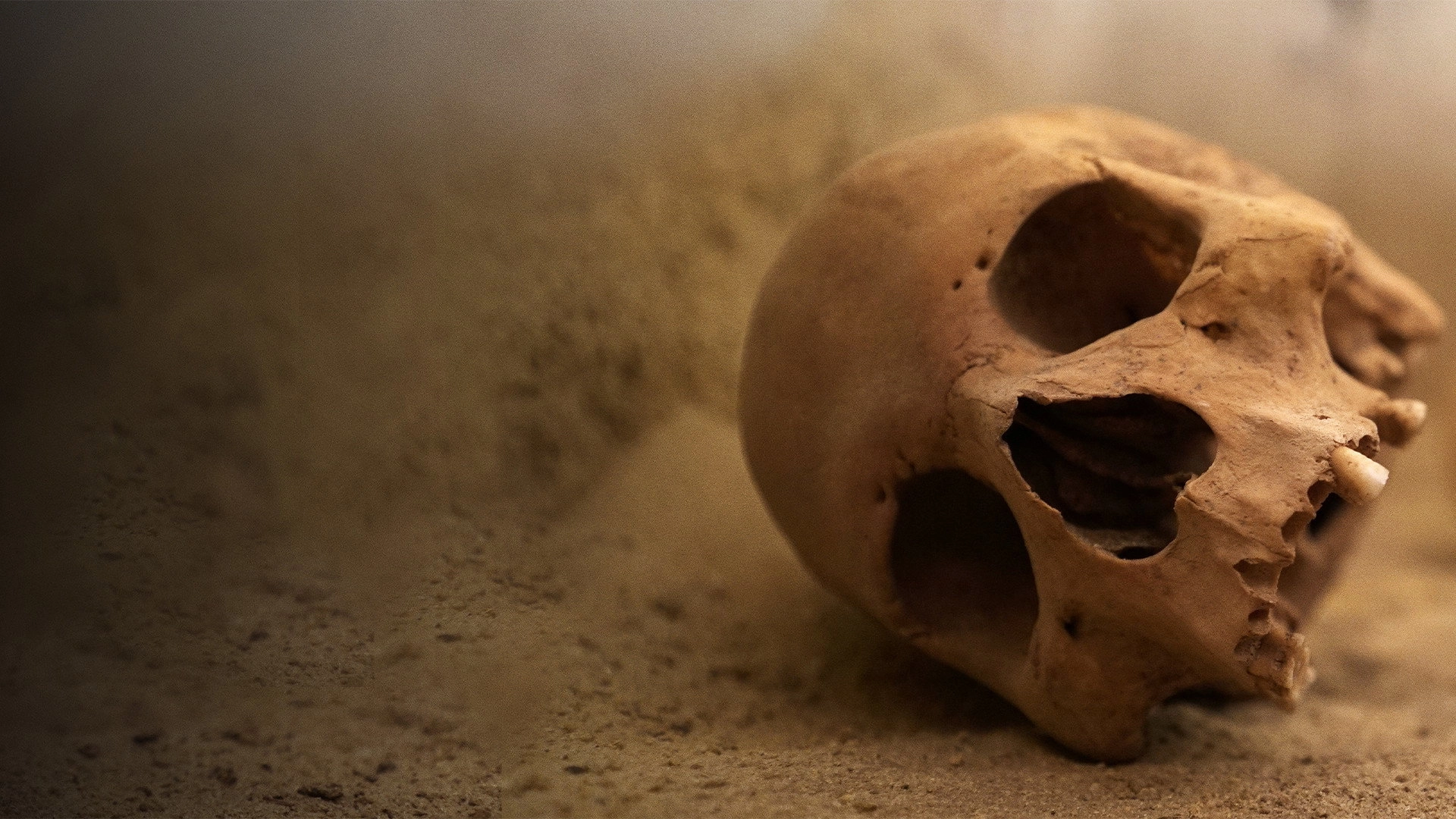 Lost Tombs of the Pyramids
