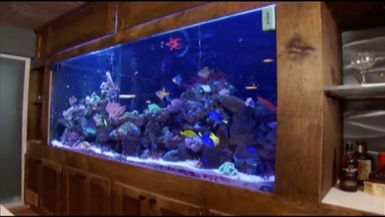 Tanked