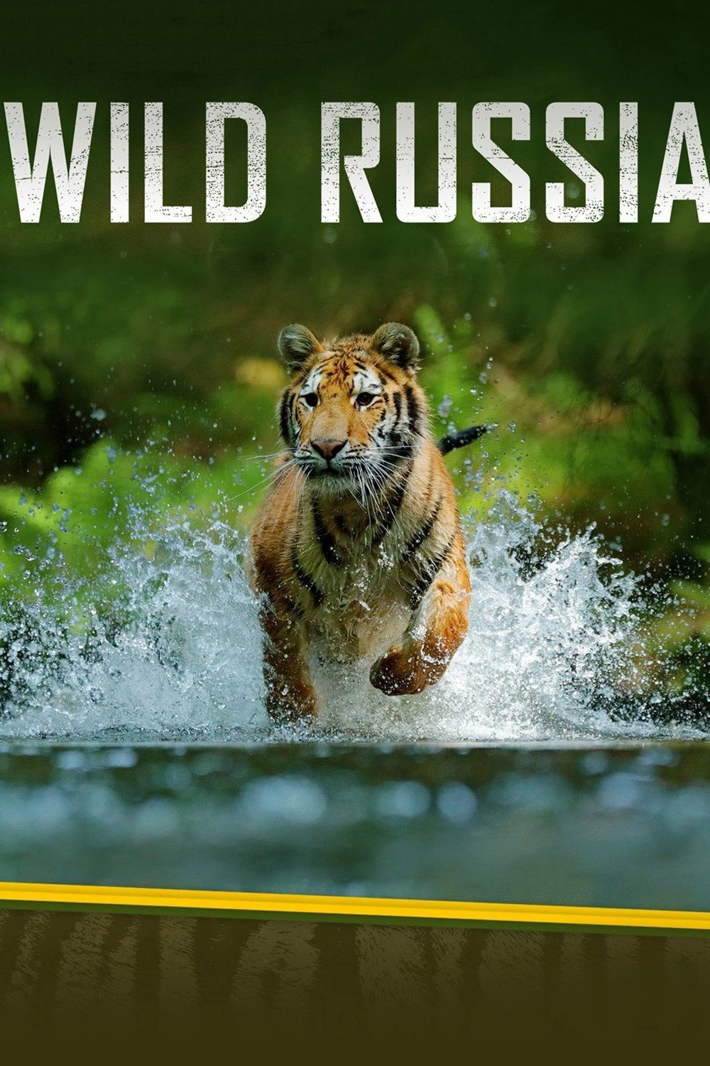 Wild Russia
