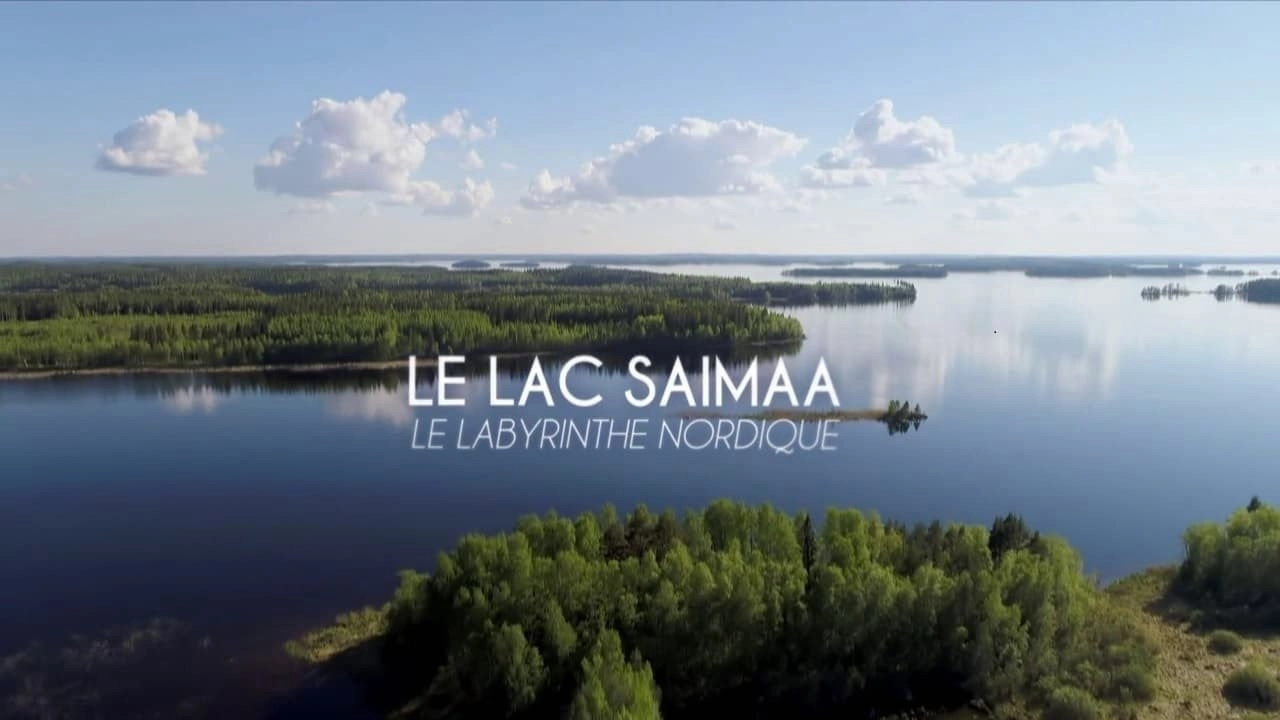 Secret Life of Lakes