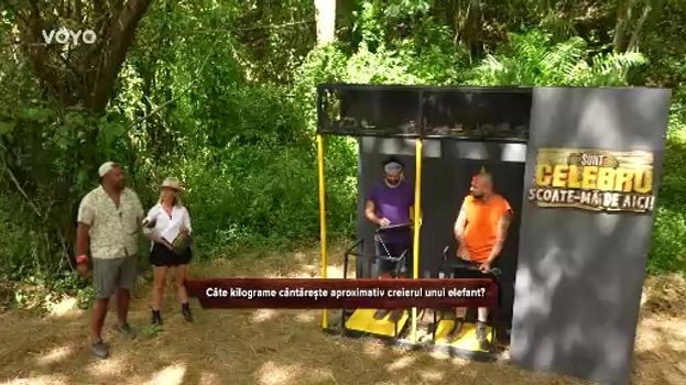 I'm a Celebrity: Get Me Out of Here!