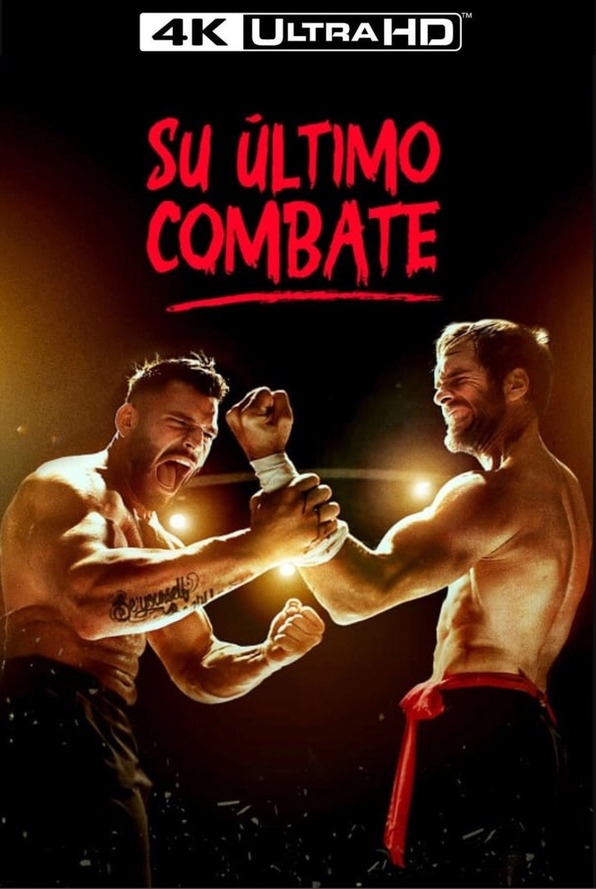 The Last Kumite