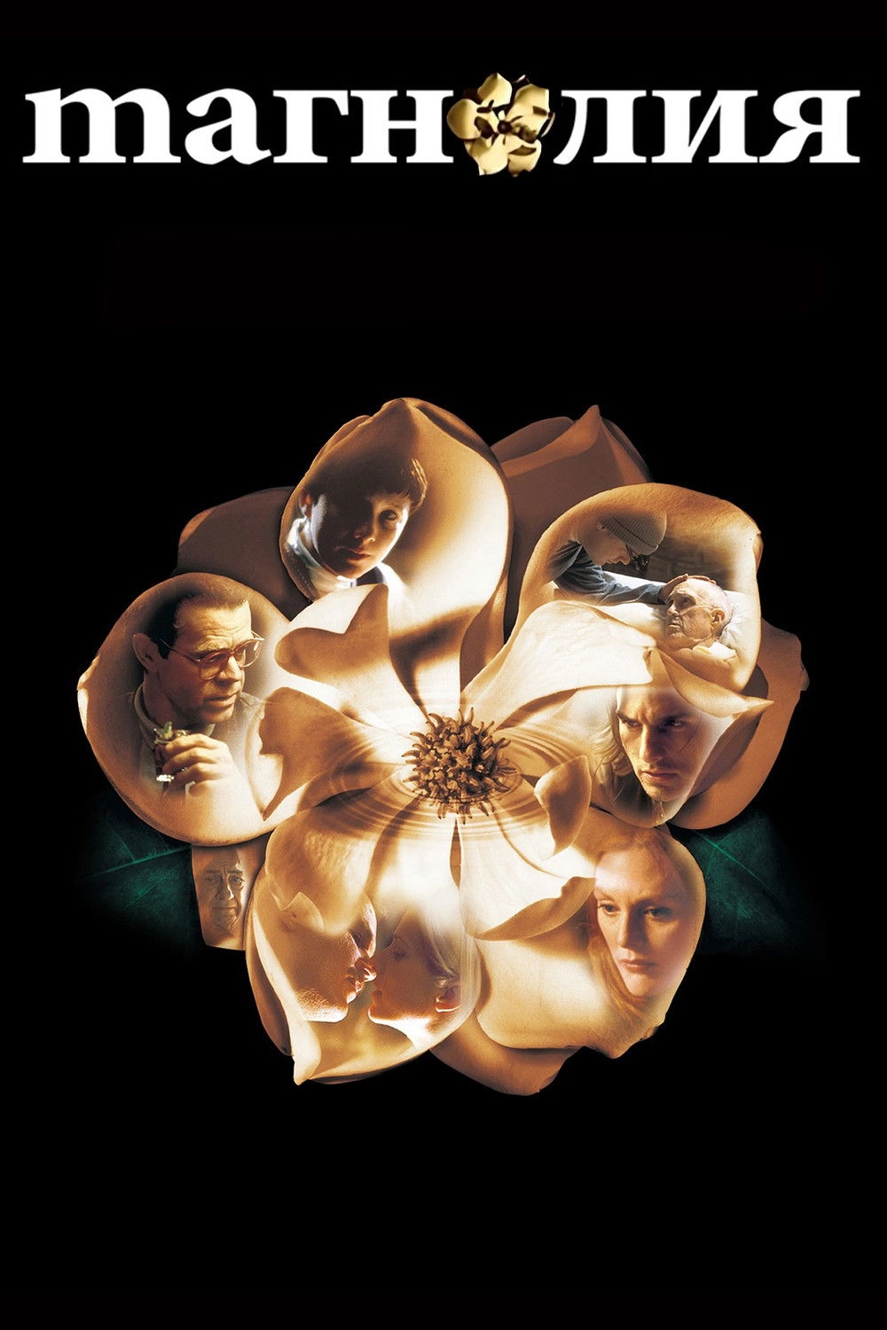 Magnolia
