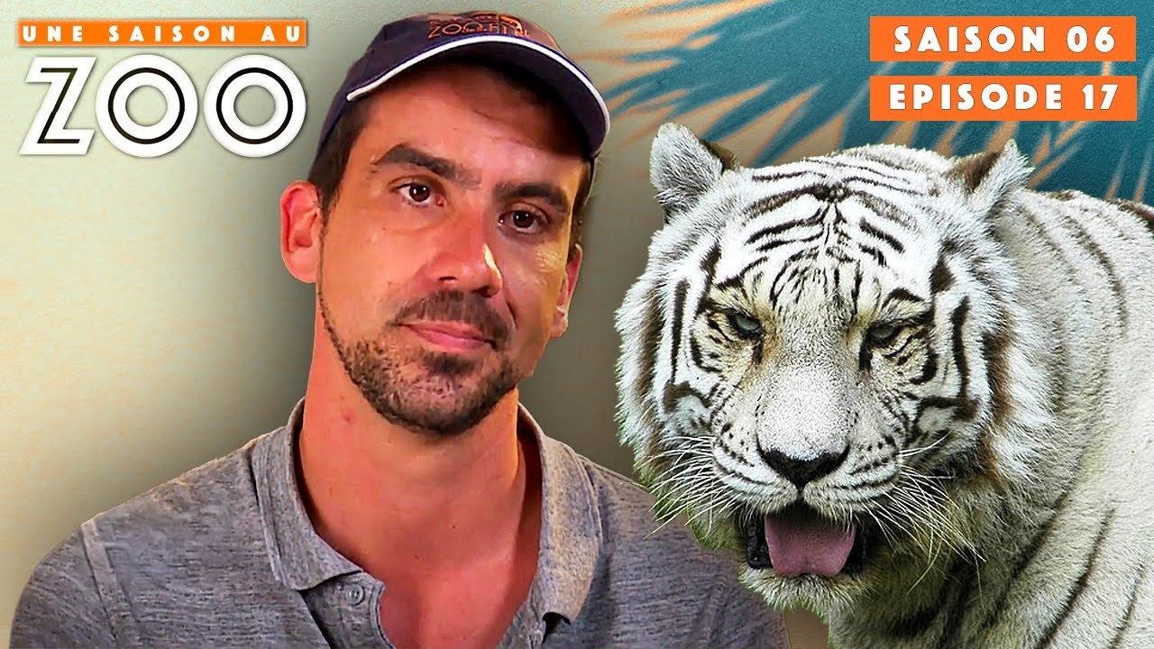 Une saison au zoo