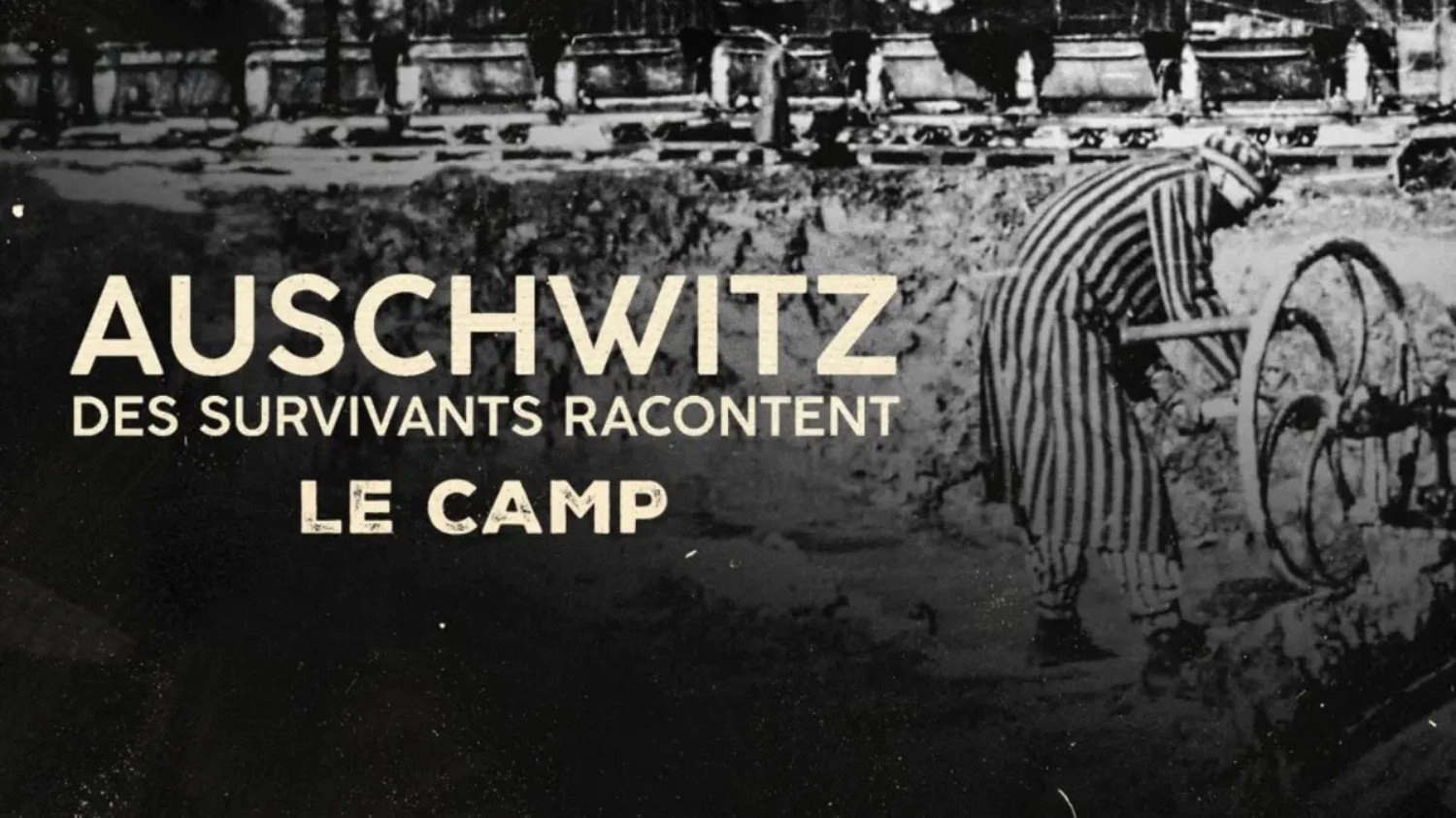 Auschwitz, survivors tell their stories