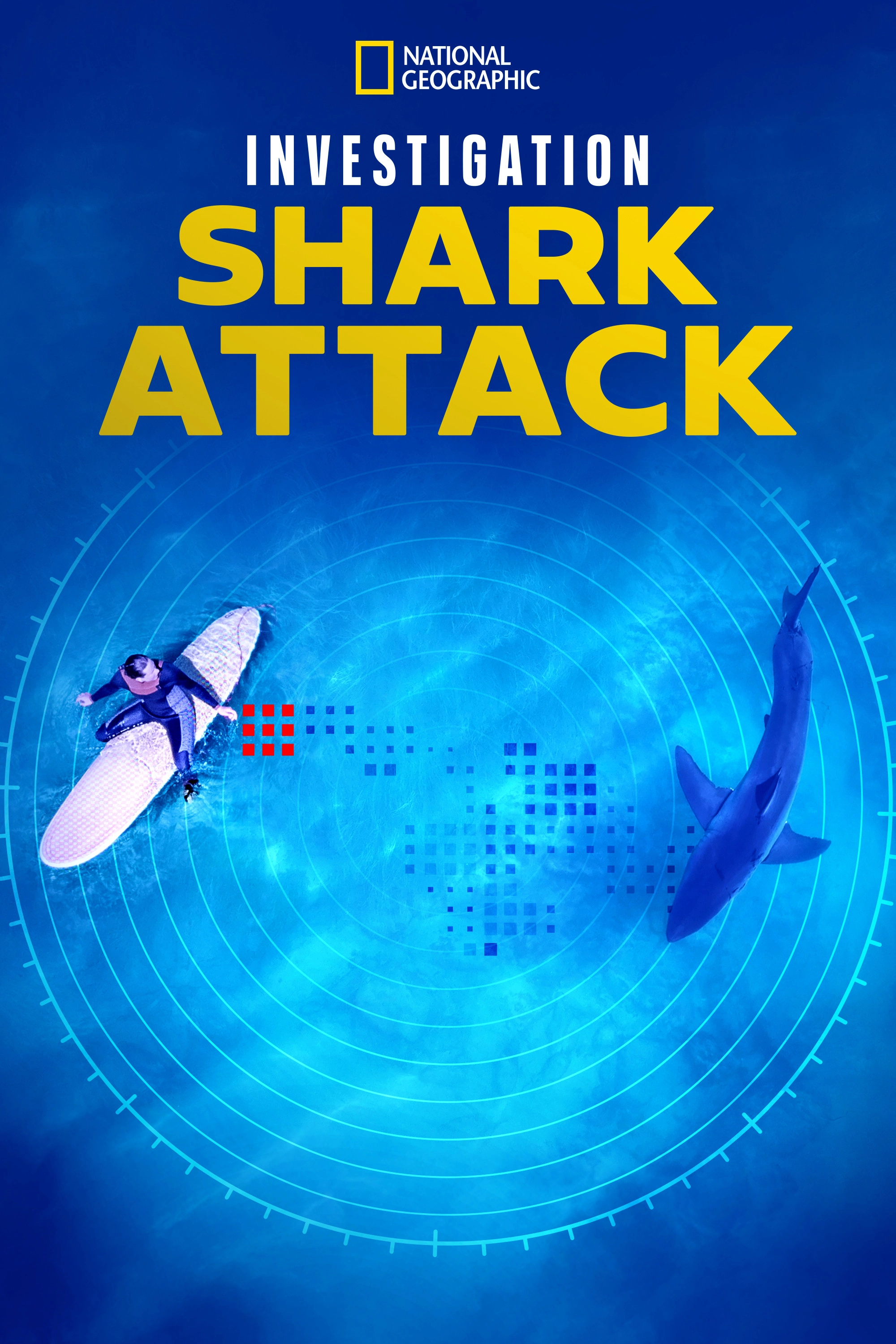 Investigation Shark Attack