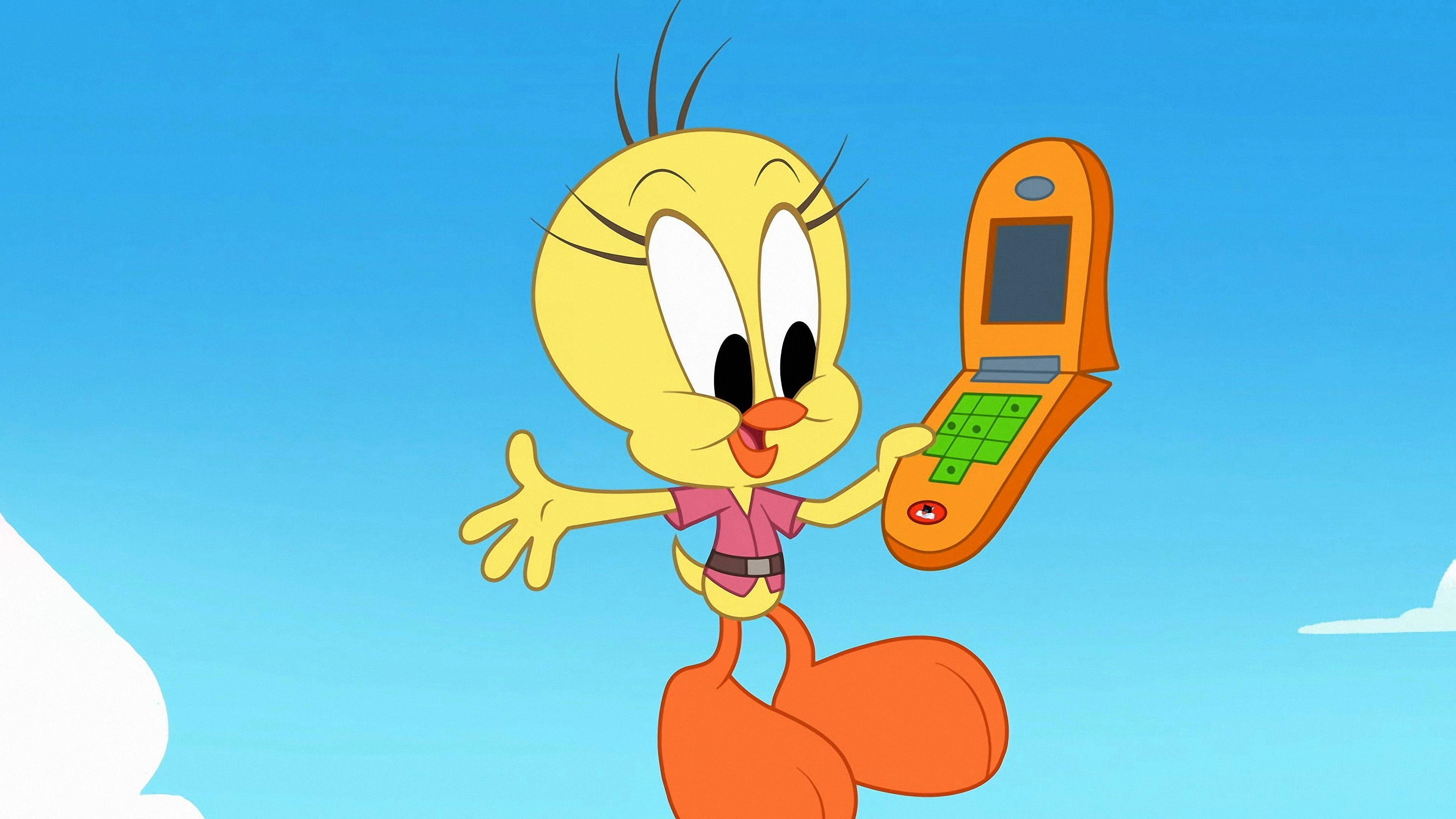 Bugs Bunny Builders