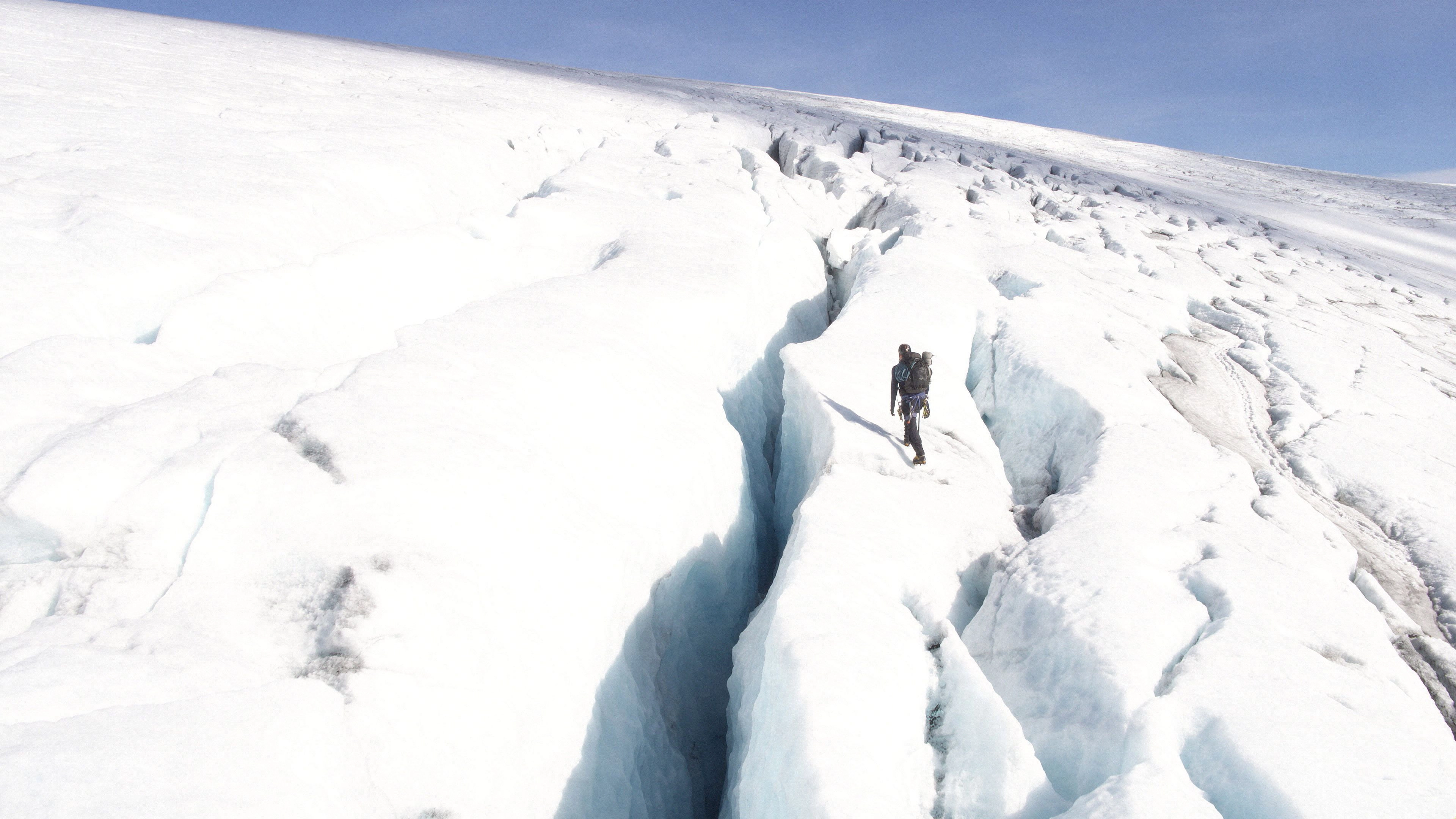 Wild Nordic