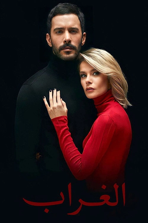 Kuzgun