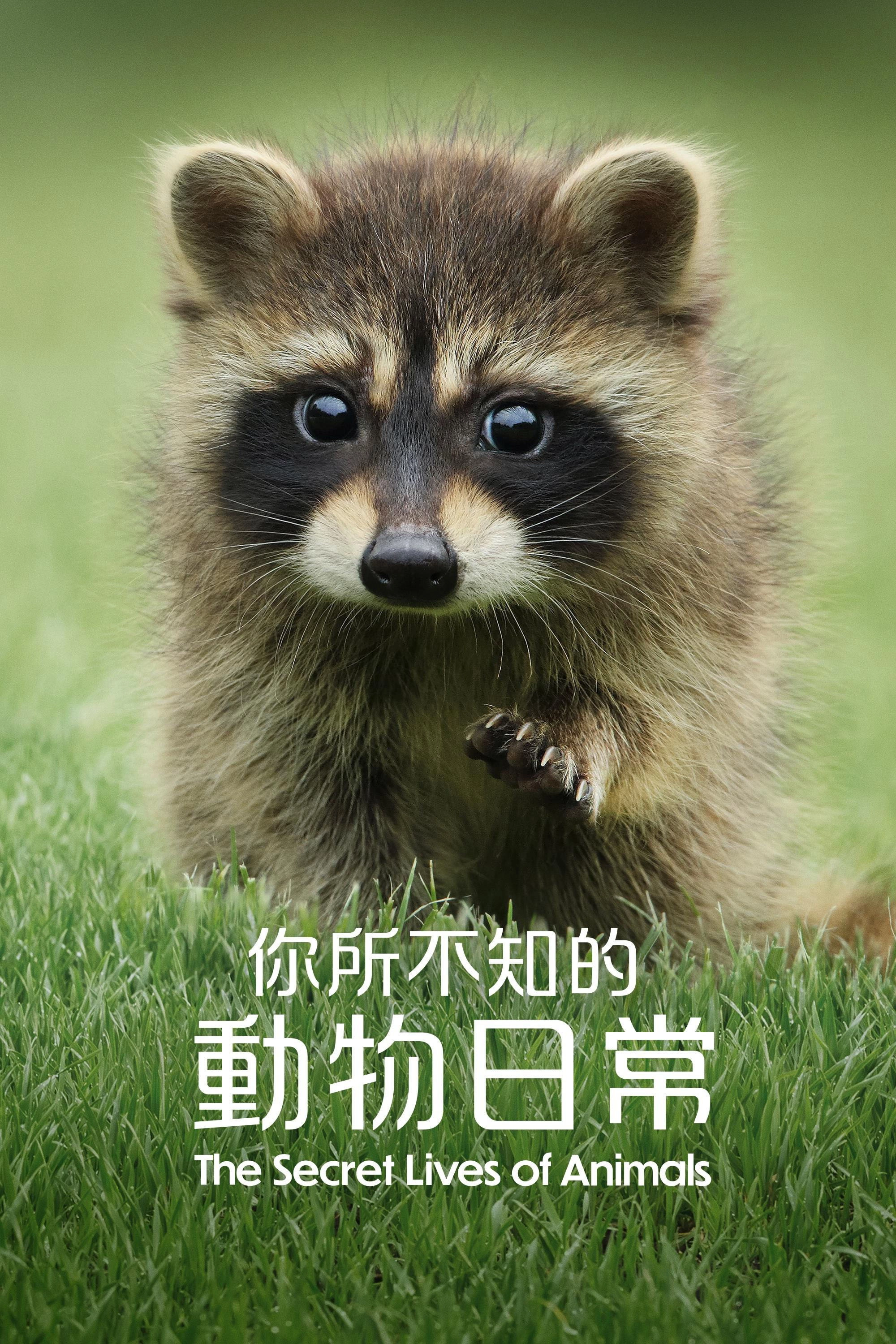 The Secret Lives of Animals