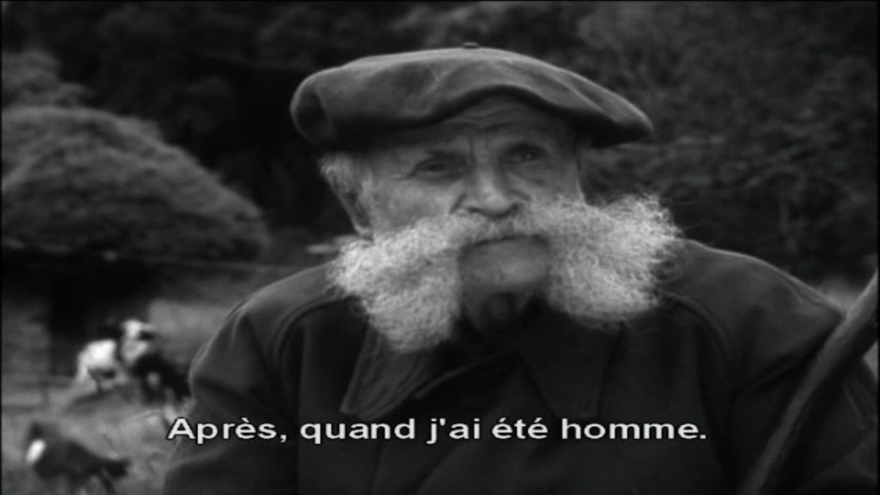 Maurin des Maures
