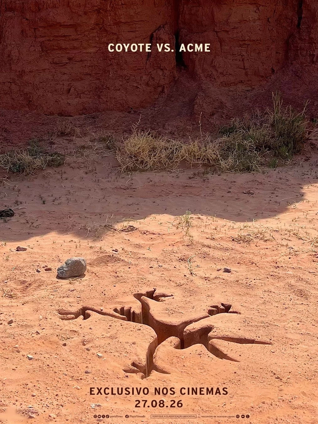 Coyote vs ACME