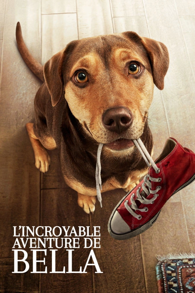 A Dog's Way Home