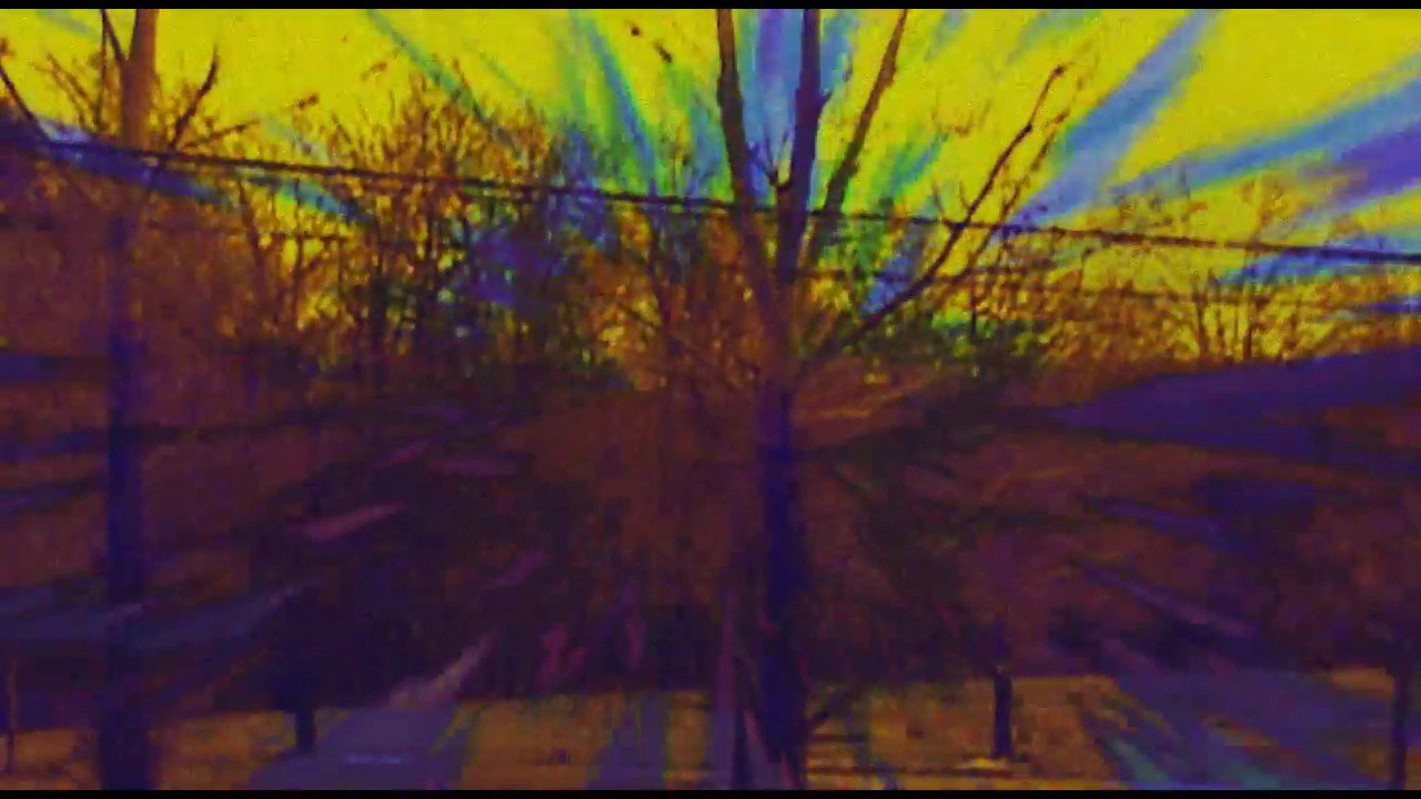 Joose Psychedelia Test