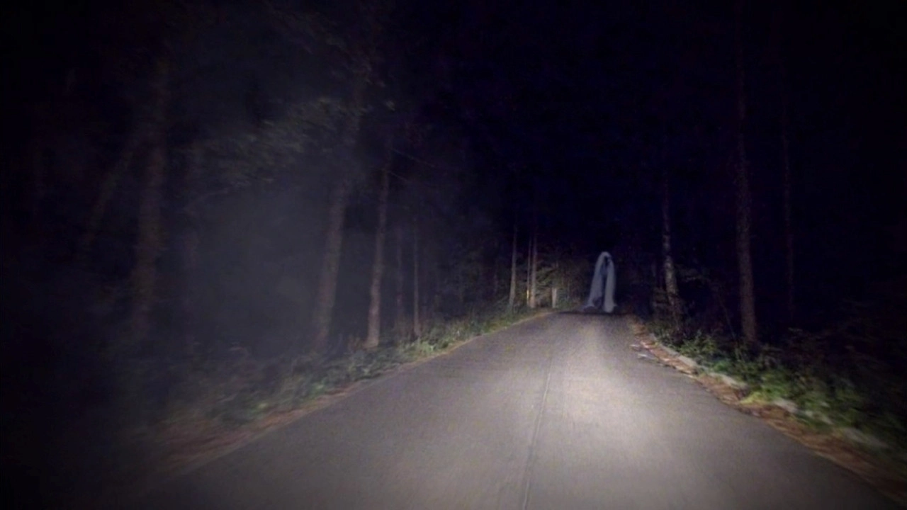 Paranormal Caught on Camera