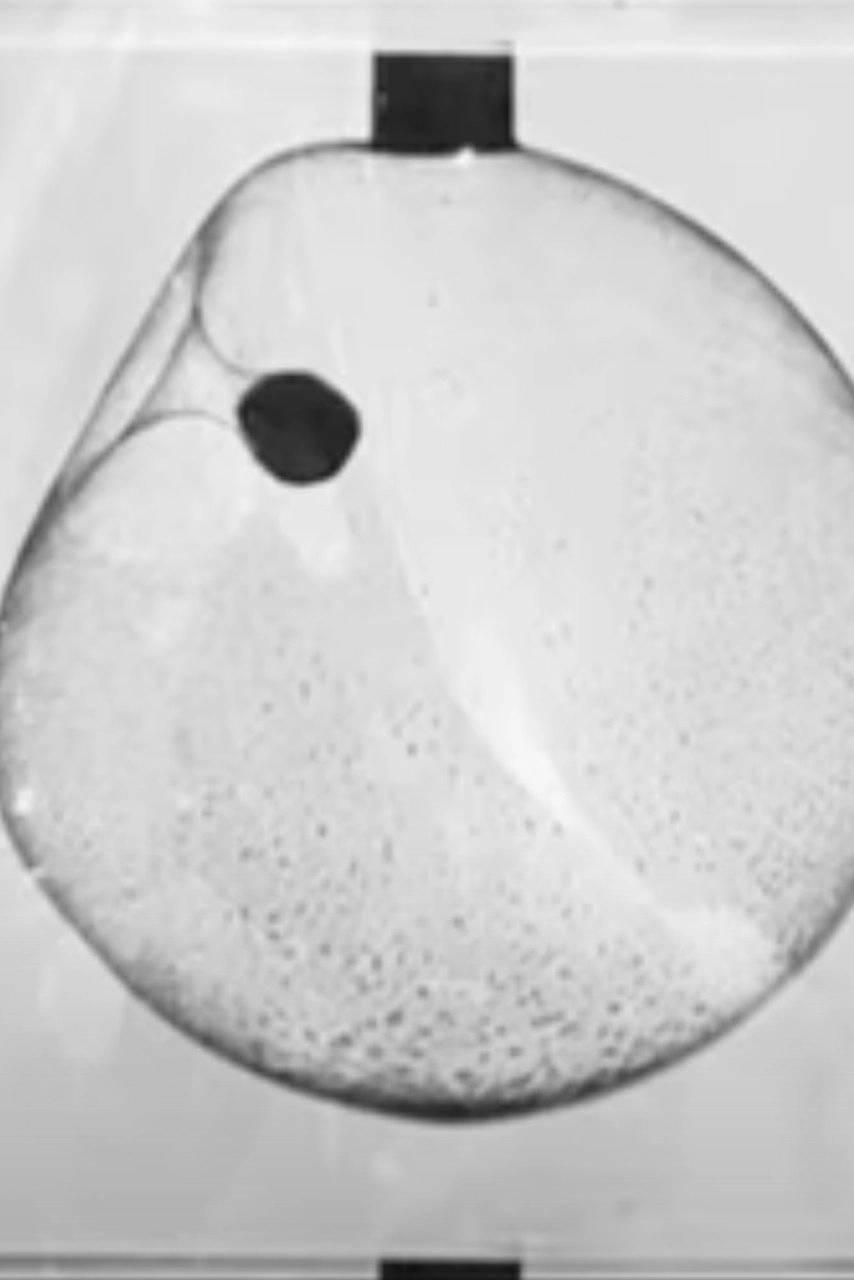 Ball Passing Through a Soap Bubble