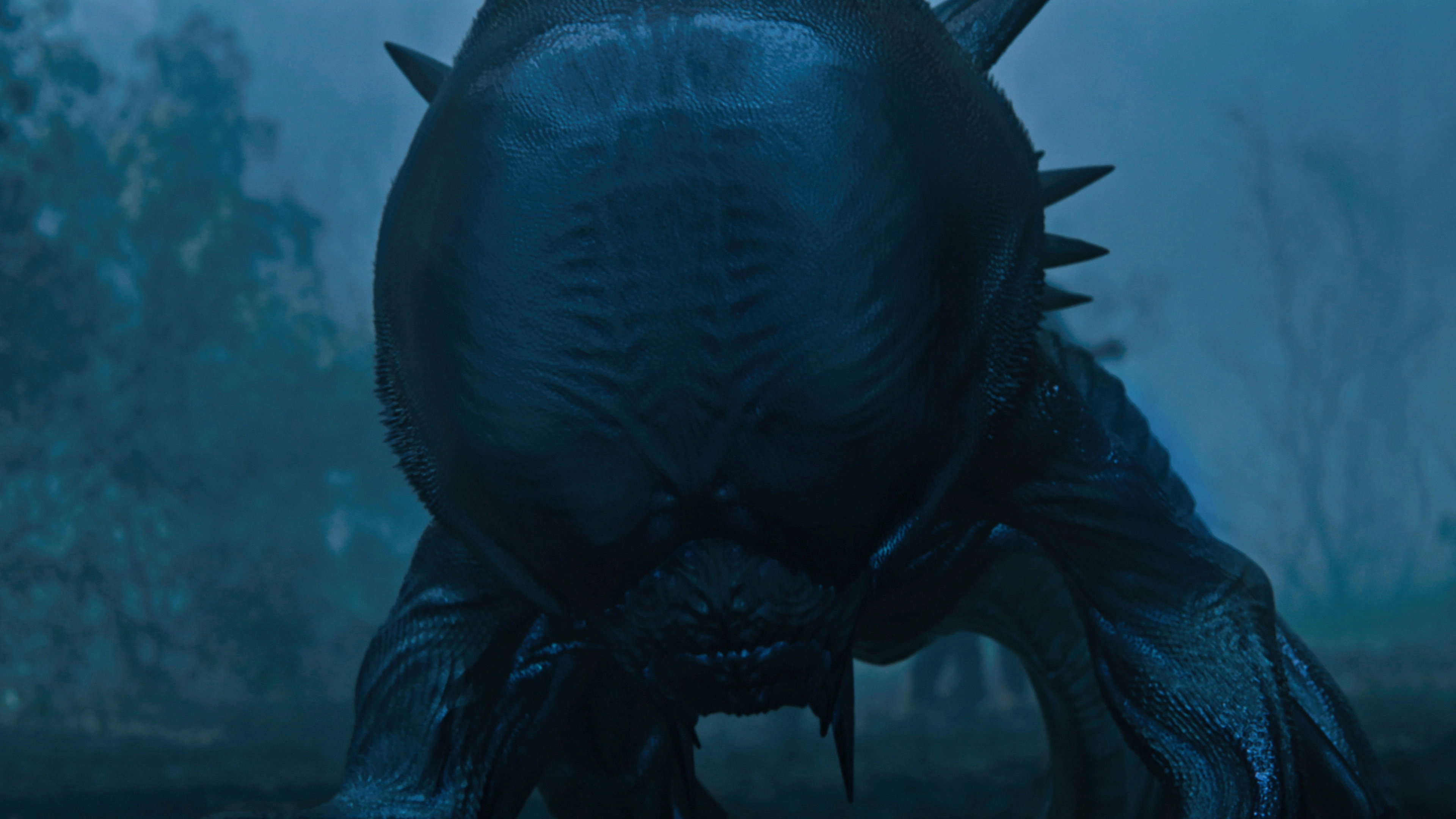 Invasion