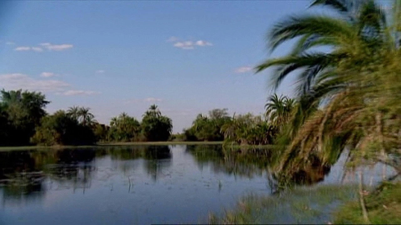 Kalahari - Afrikas paradiesische Wüste