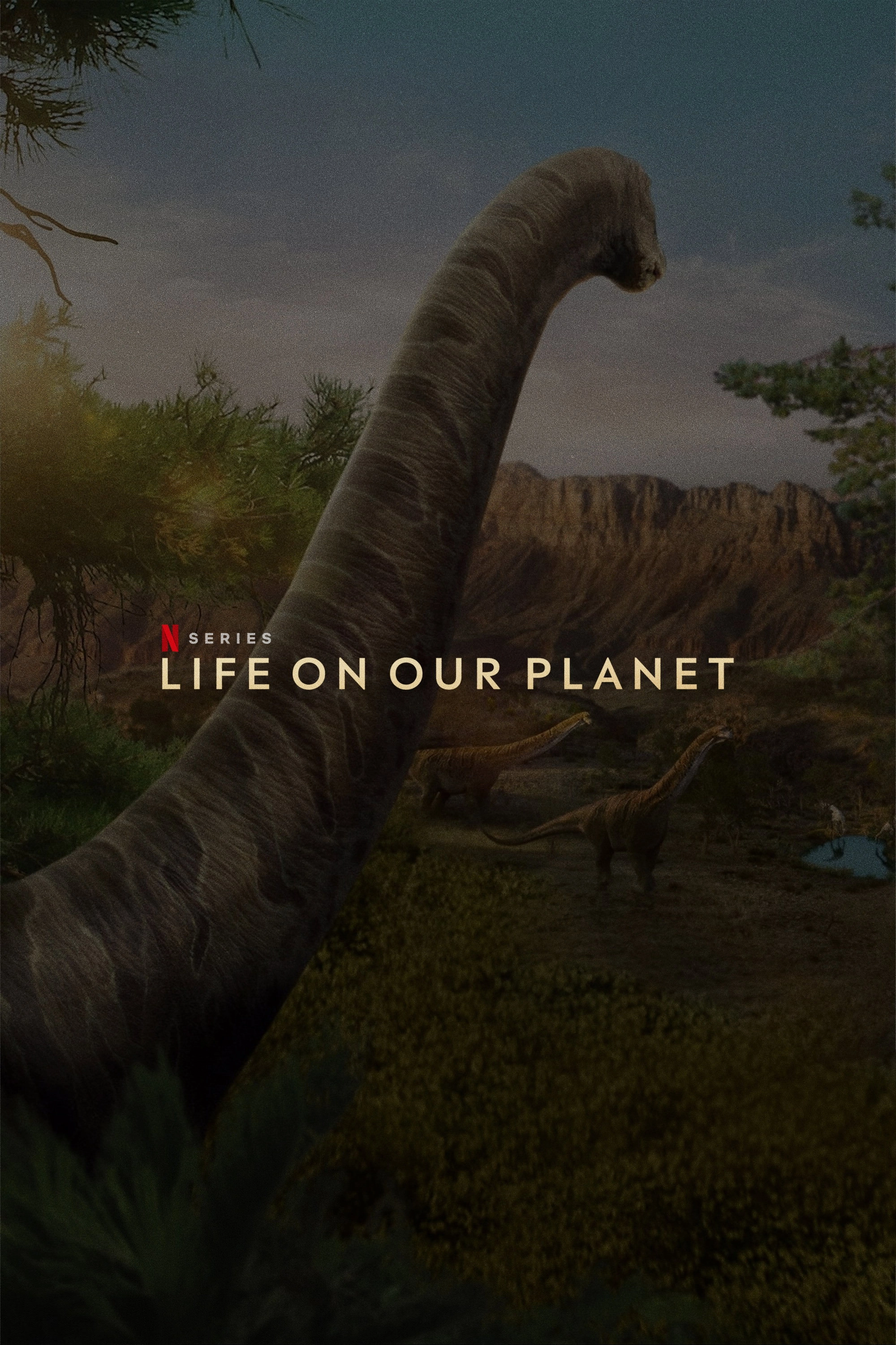 Life on Our Planet