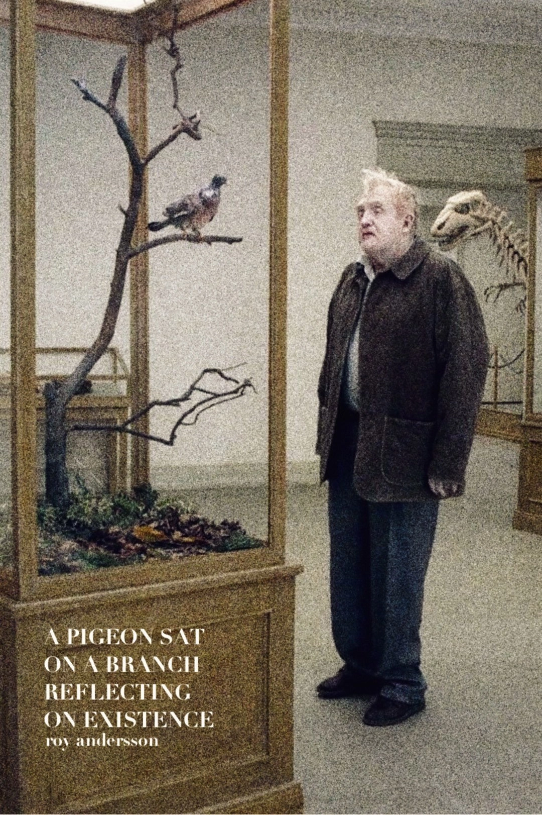 A Pigeon Sat on a Branch Reflecting on Existence