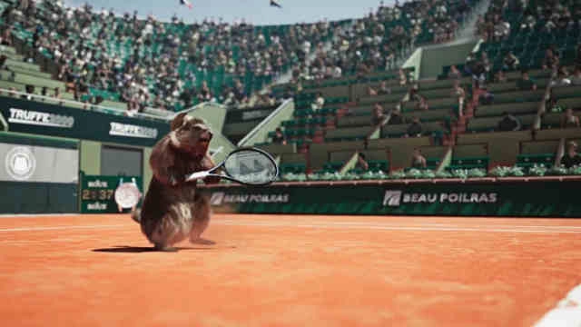 Les Marmottes