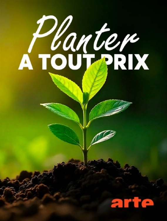 Planter à tout prix - Des arbres pour sauver la planète ?