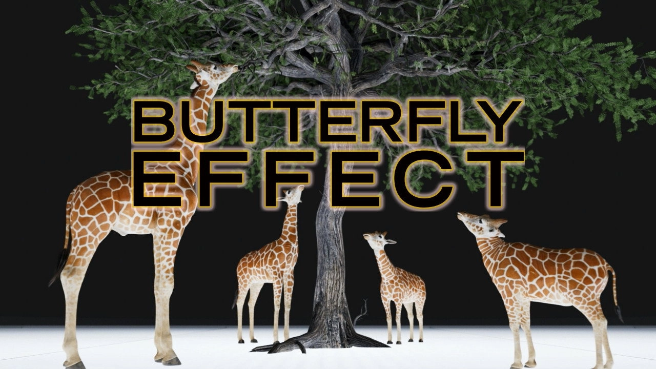 Butterfly Effect