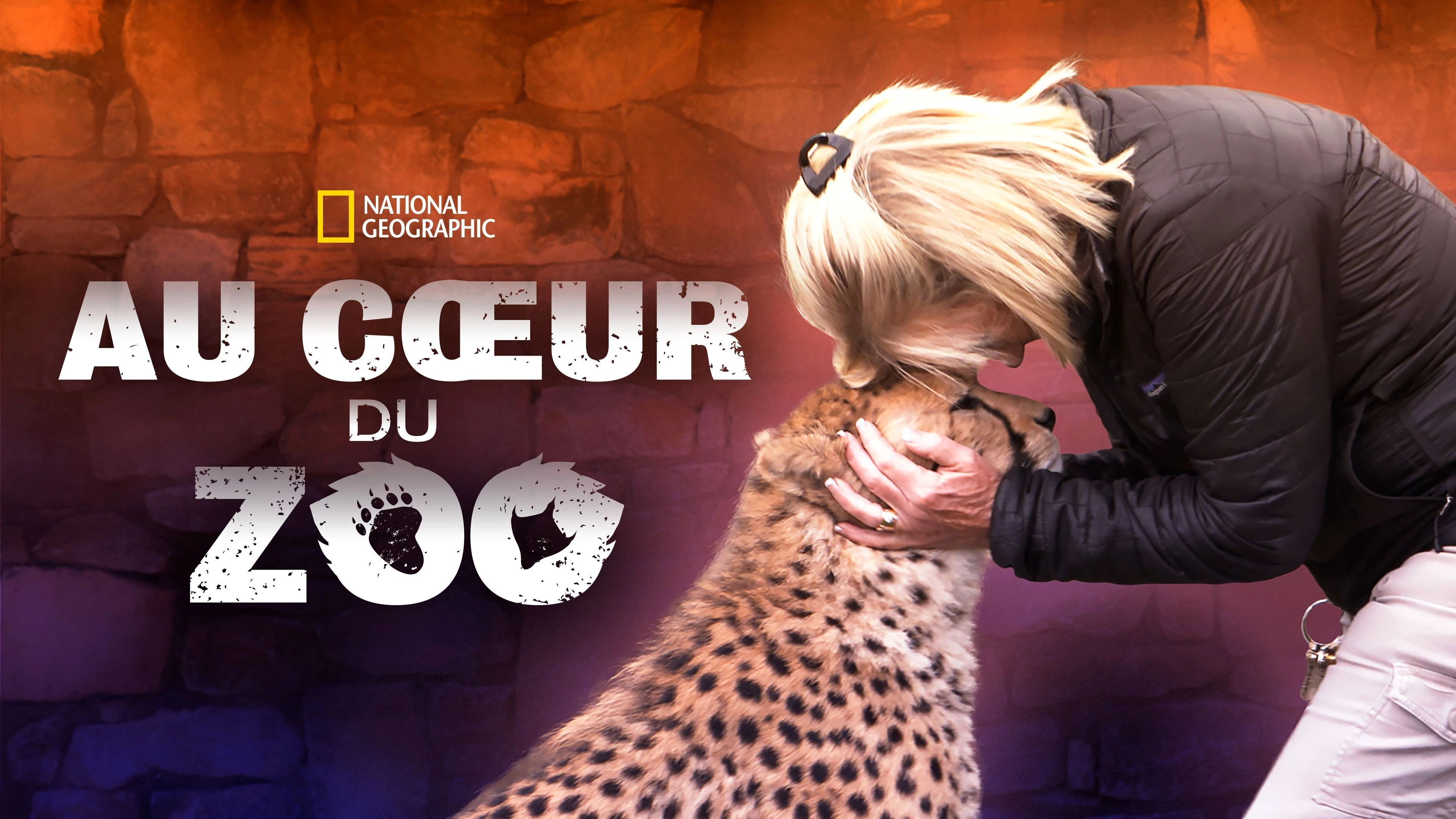 Secrets of the Zoo