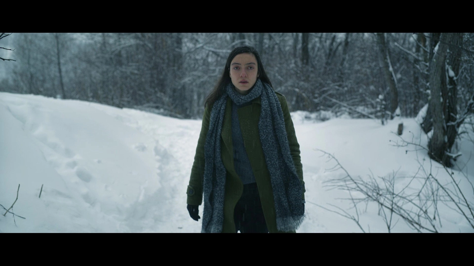 Snow and the Bear
