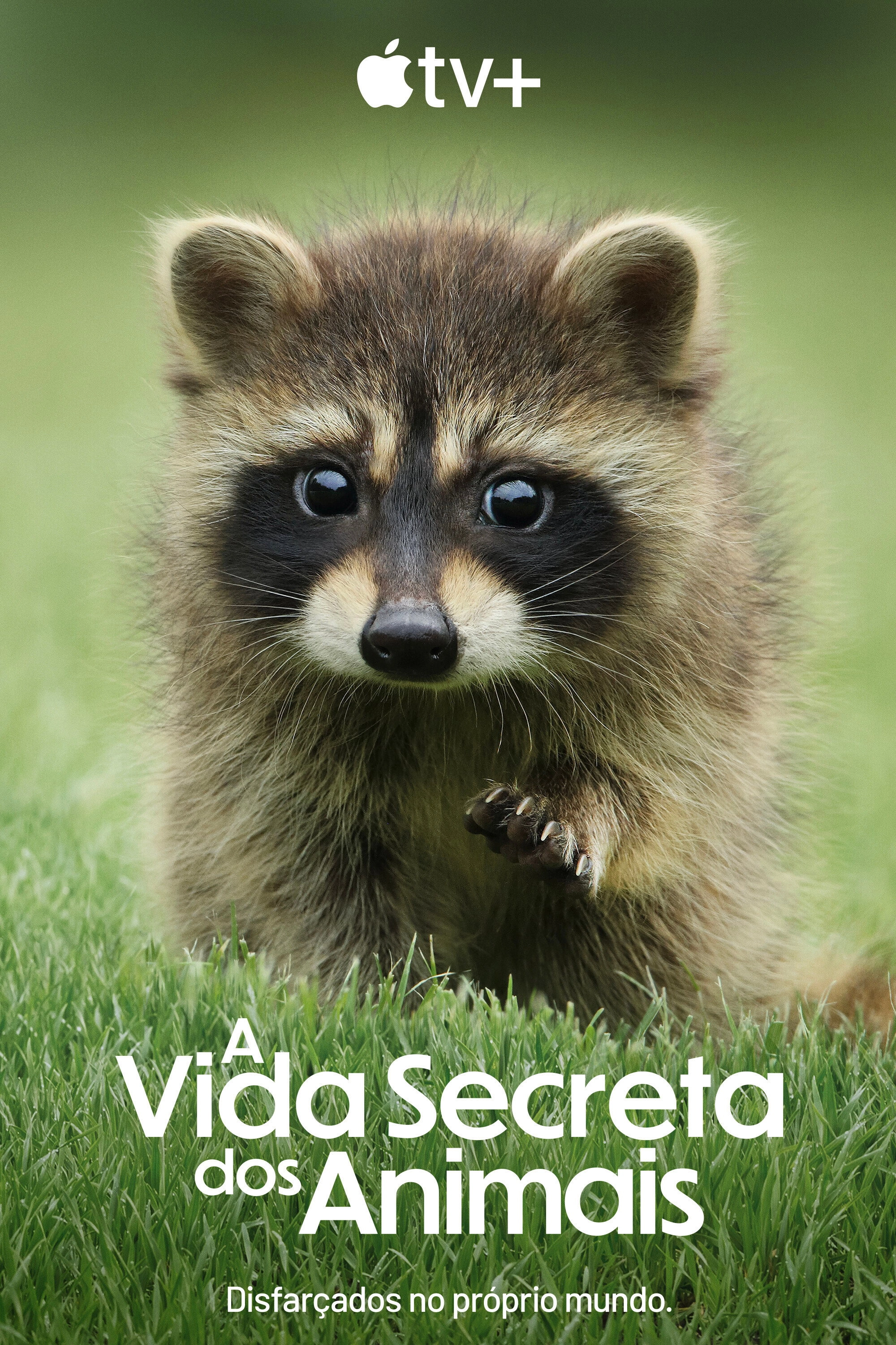 The Secret Lives of Animals