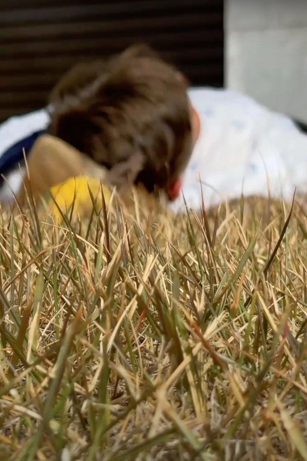 O Não Visto