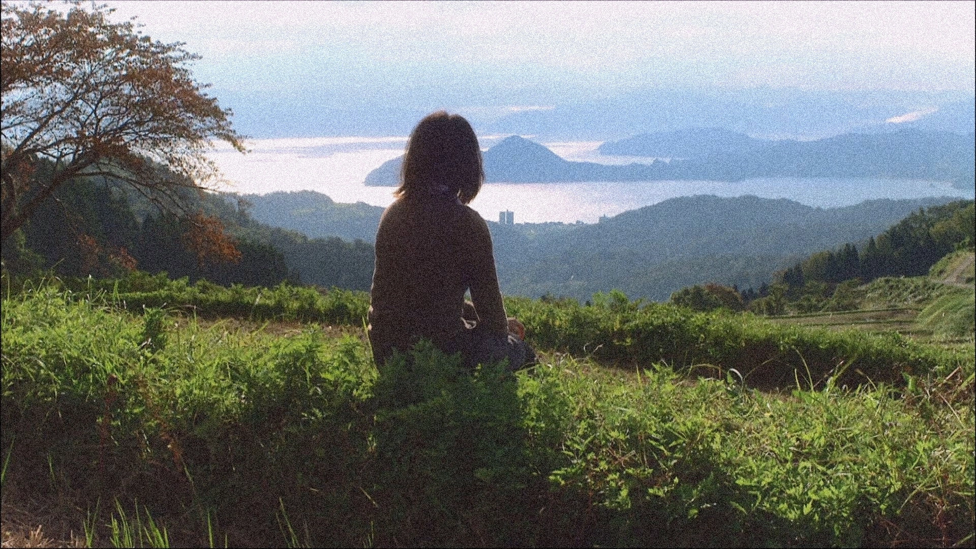 Faraway Heaven