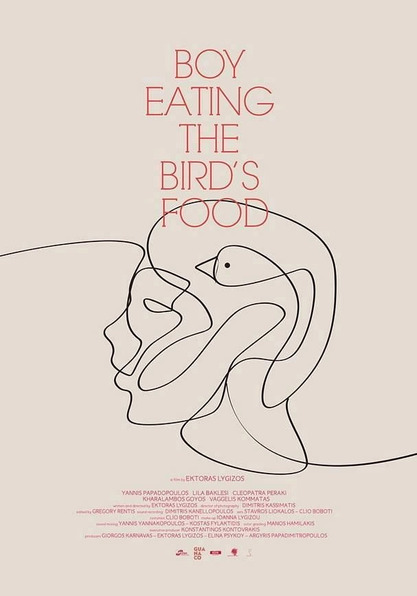 Boy Eating the Bird's Food