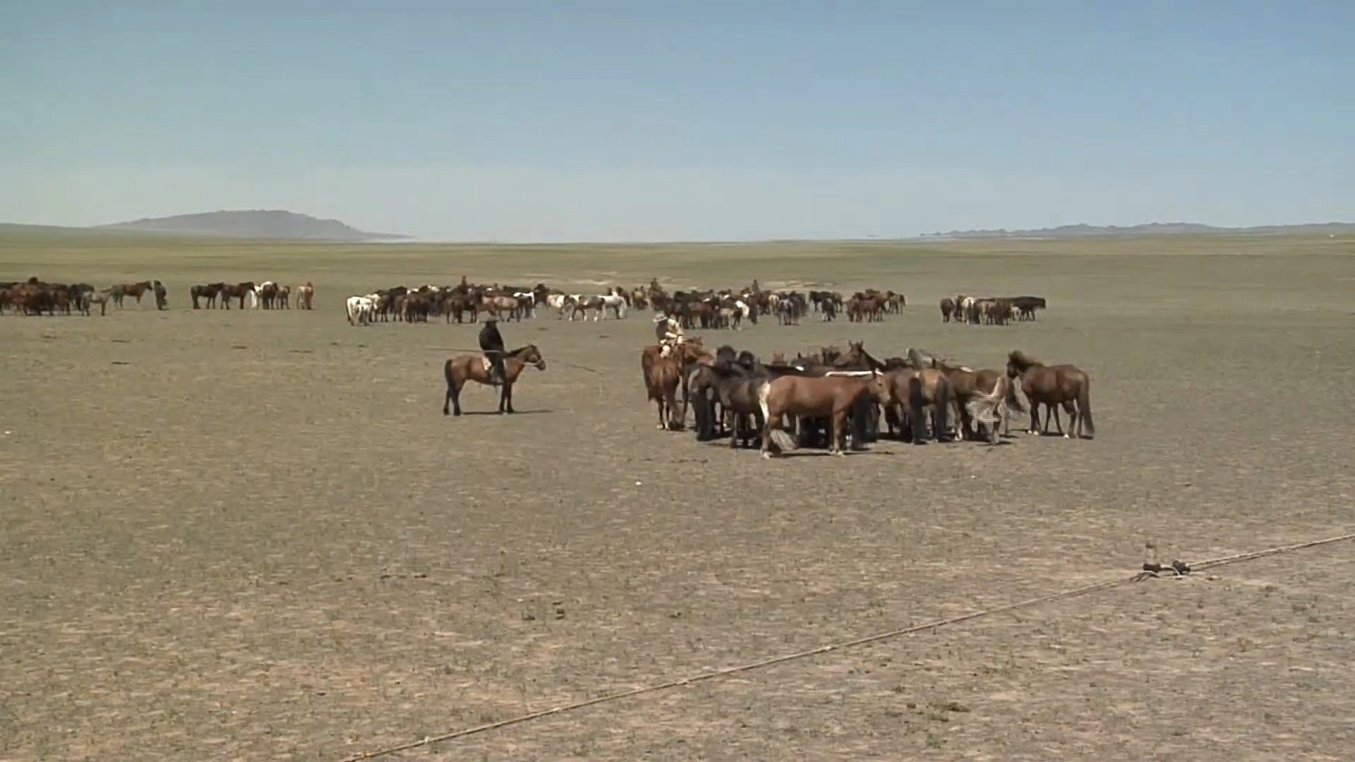 On the Border Between Life and Death