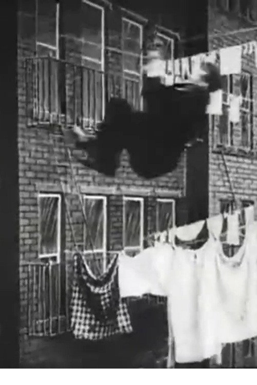 The Burglar's Slide for Life